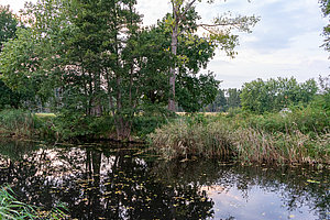 romantische Feuerstelle am Wasser