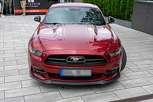 Mustang