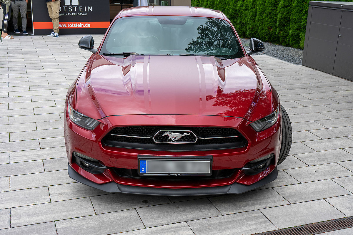 Mustang
