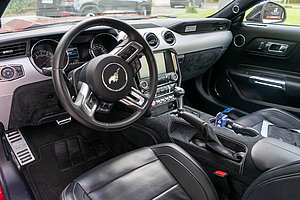 Mustang