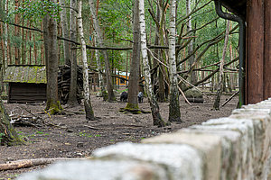 Tierpark Teilbereich