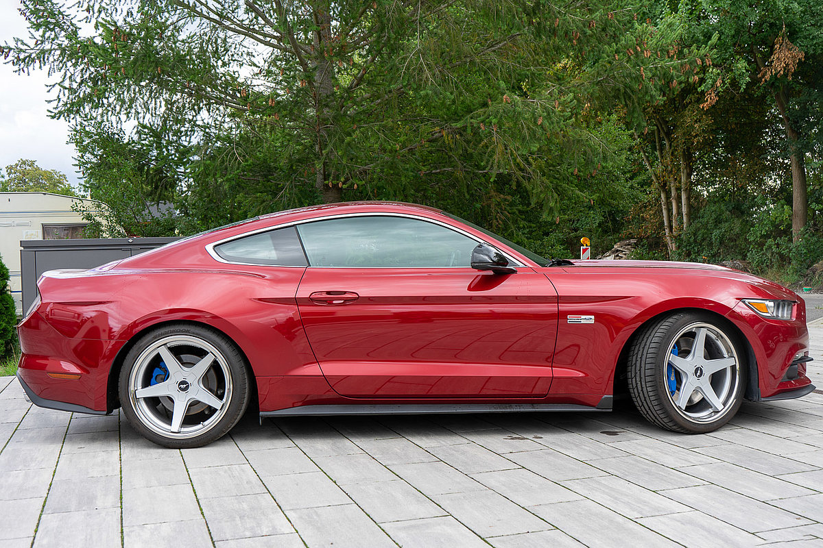 Mustang