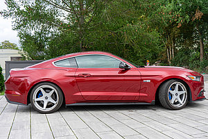 Mustang