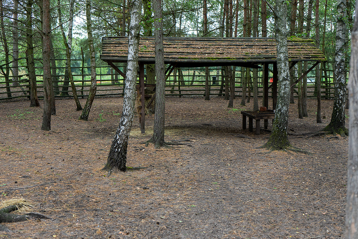 Tierpark Teilbereich