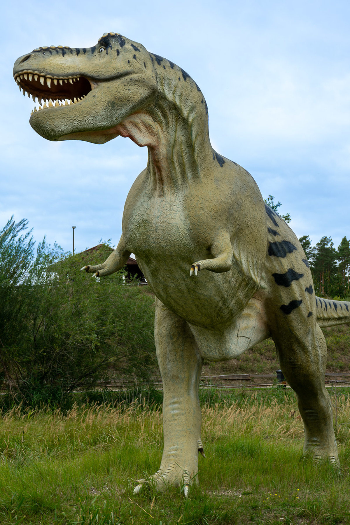 Tier- Freizeit- und Saurierpark