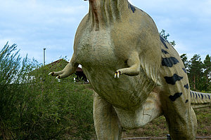 Tier- Freizeit- und Saurierpark