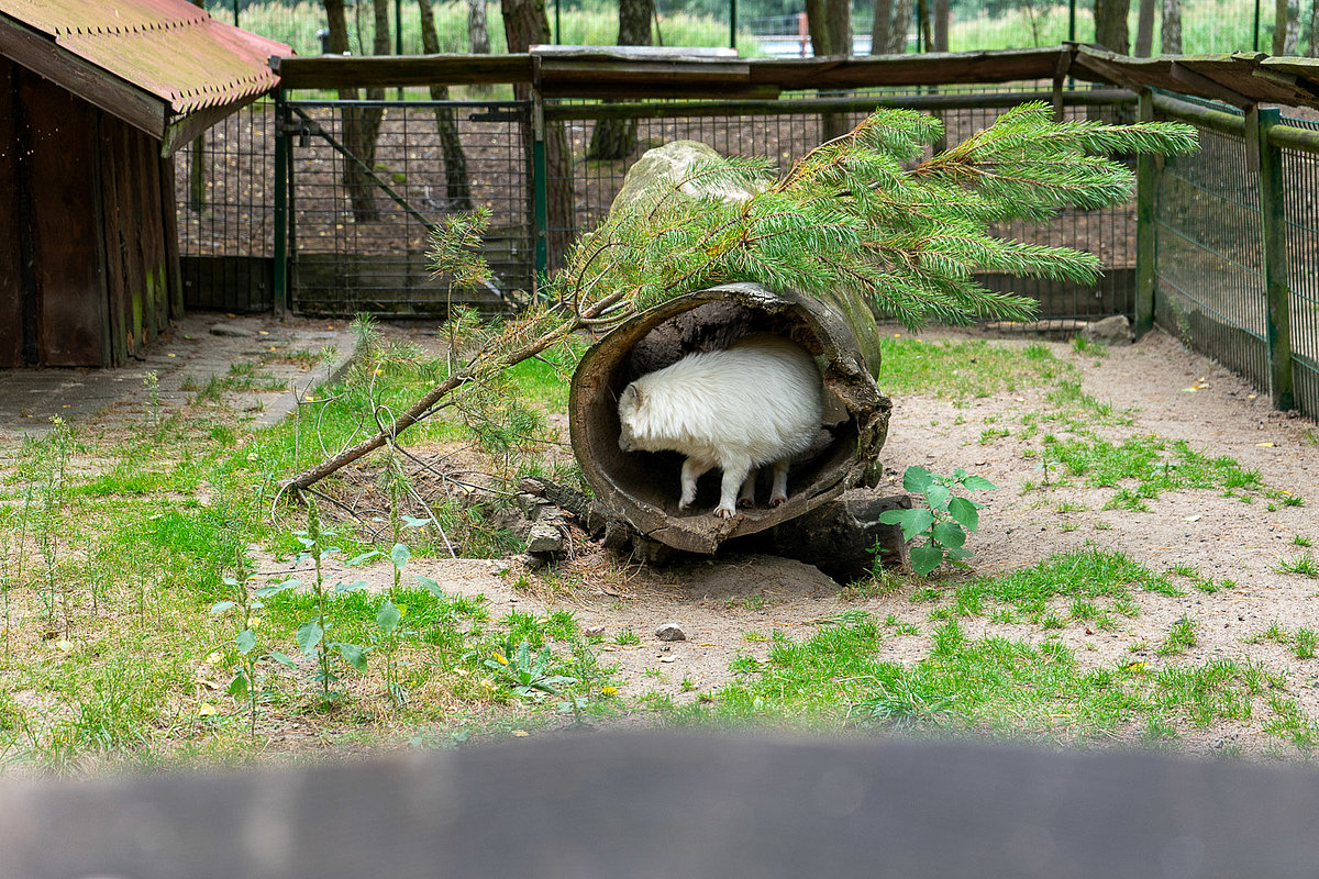 Tierpark Teilbereich