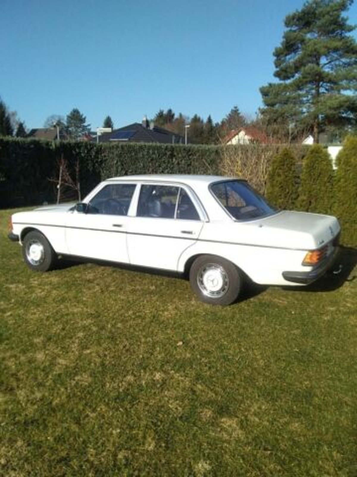 Mercedes-Benz W 123 /230 H Kennzeichen